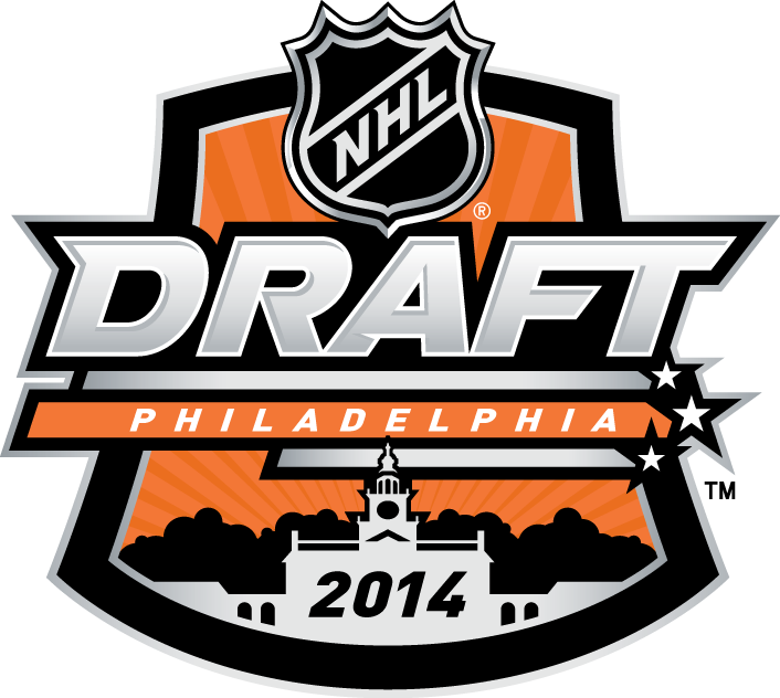 NHL Draft 2014 Primary Logo DIY iron on transfer (heat transfer)